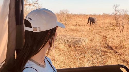 itinerary_mobi_kruger-national-park