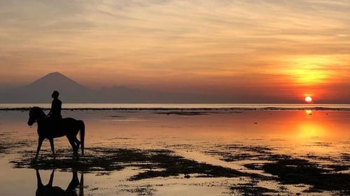 itinerary_mobi_bali-express