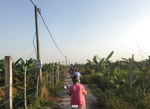hanoi-green-farm-experience-7