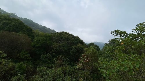 khao-yai_gallery_full