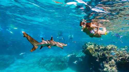 yasawa_adv_snorkelling_2