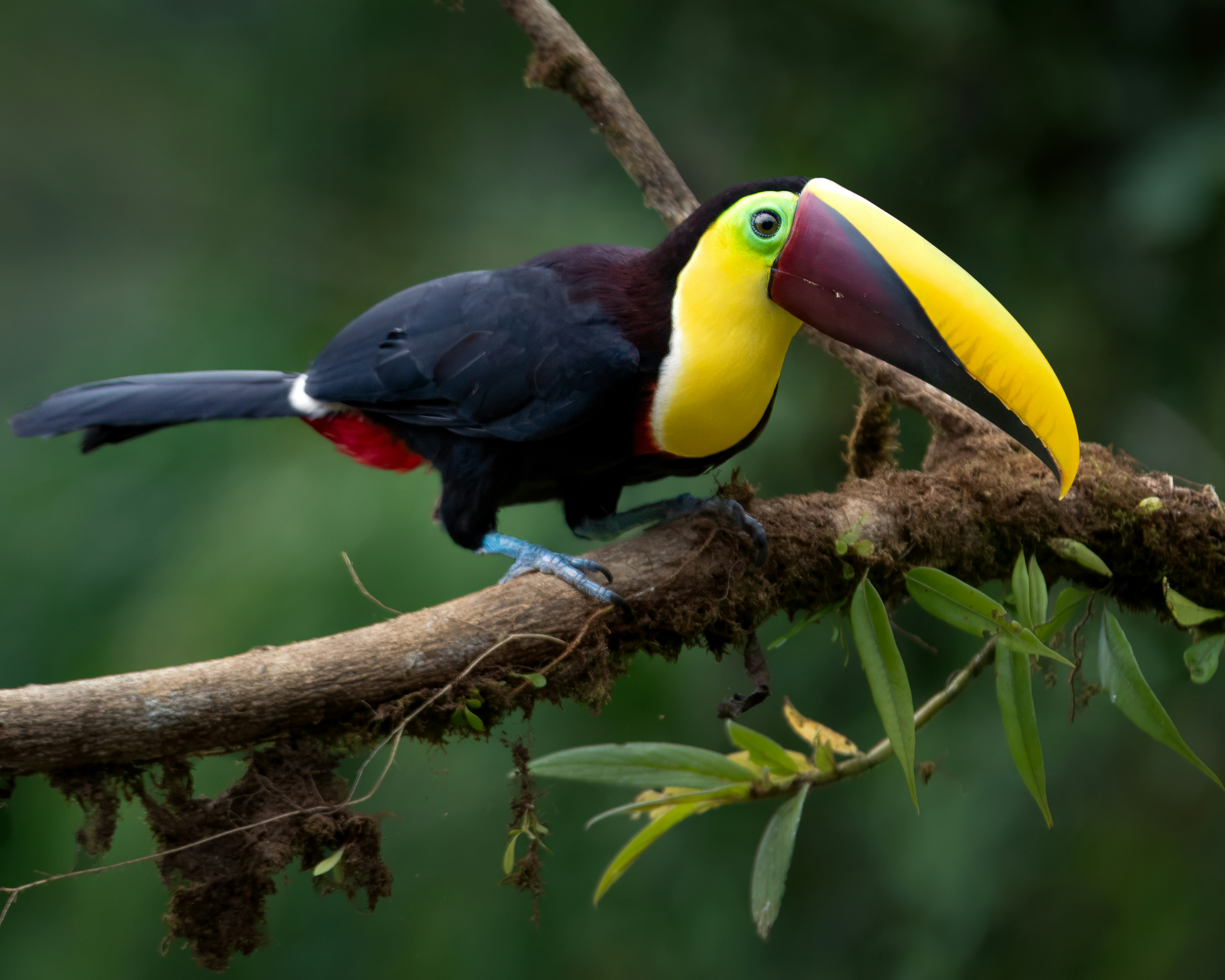 Robert Arellano Usqq0e5ezmm Unsplash
