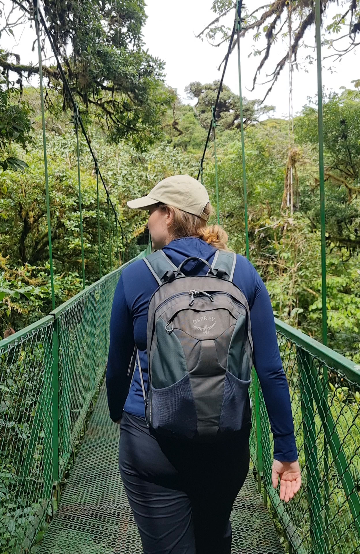 Treetop walk in Taman Negara in Maleisië 