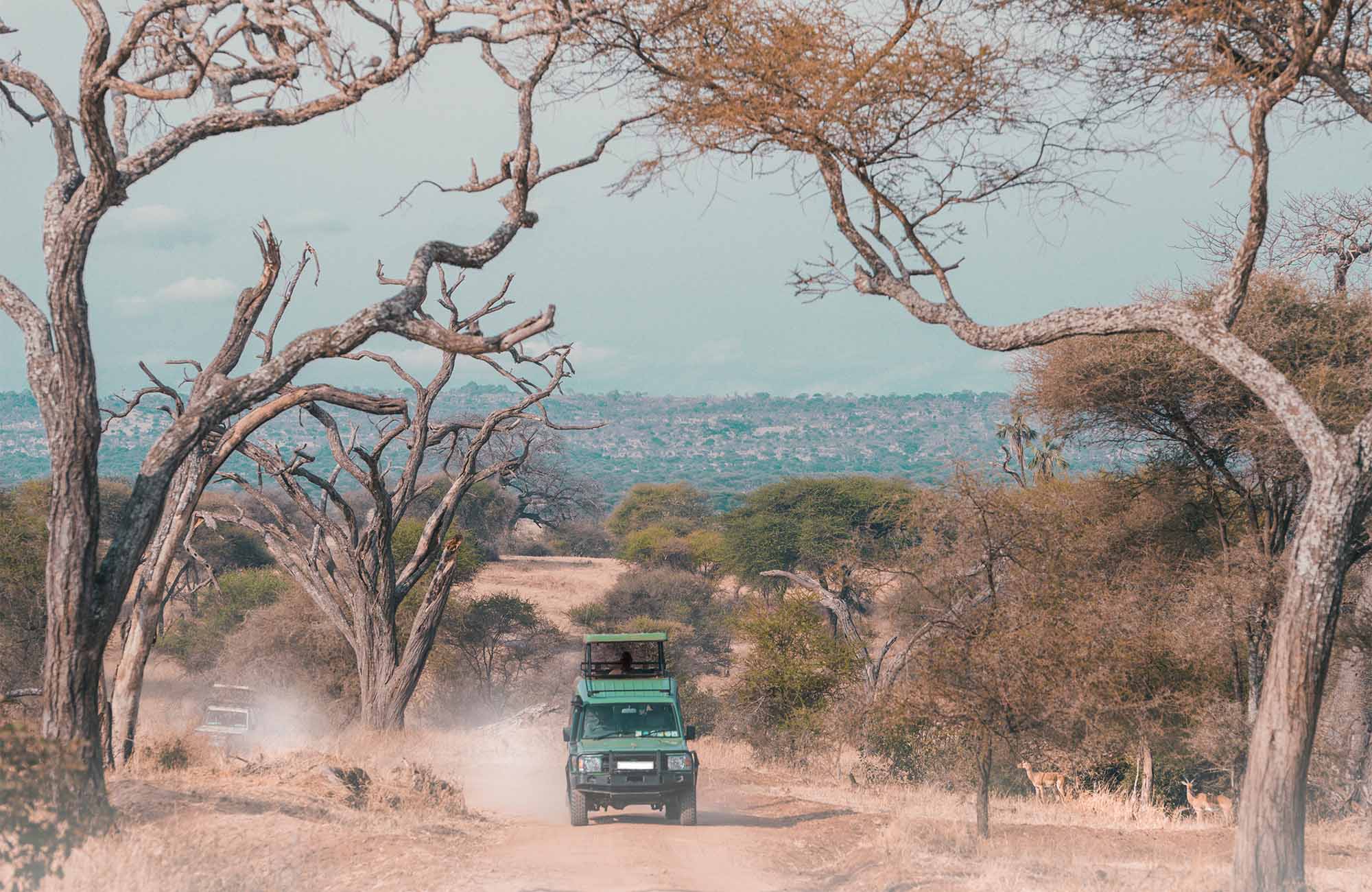serengeti-tanzania-safari-drive-car-cover