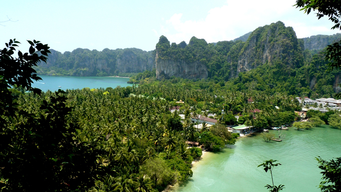 Koh Phi Phi in Thailand | Vrijwilligerswerk natuurbescherming | KILROY